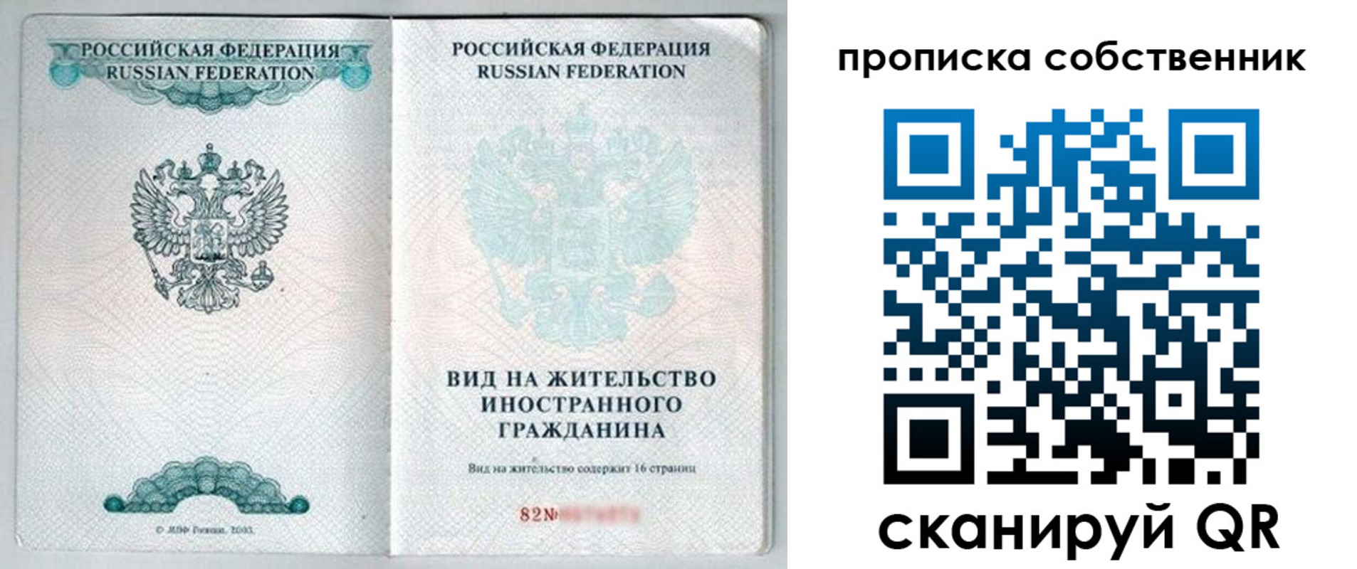 прописка для работы в Мытищах